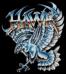 Logo: Hawk