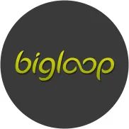 Logo: Big Loop Studios Ltd