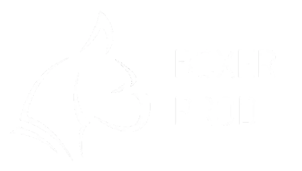 Logo: Boxer Prod
