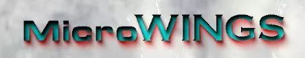 Logo: MicroWINGS, Inc.