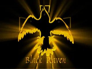 Logo: Black Raven