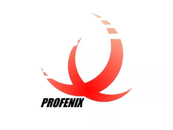 Logo: Profenix Studio SRLS
