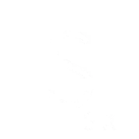 Logo: Singularity 6 Corporation