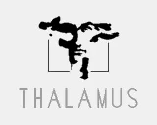 Logo: Thalamus Ltd