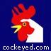 Logo: cockeyed.com