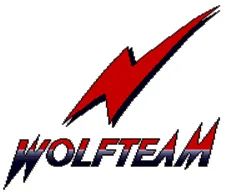 Logo: Wolf Team