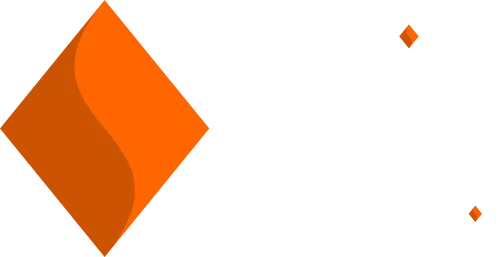 Logo: NaipSoft