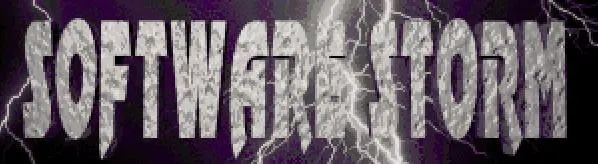 Logo: Software Storm, Inc.