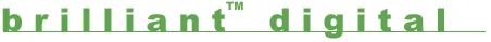 Logo: Brilliant Digital Entertainment, Inc.