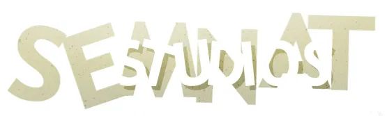 Logo: Semnat Studios LLC