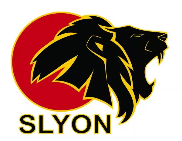 Logo: Slyon Studios