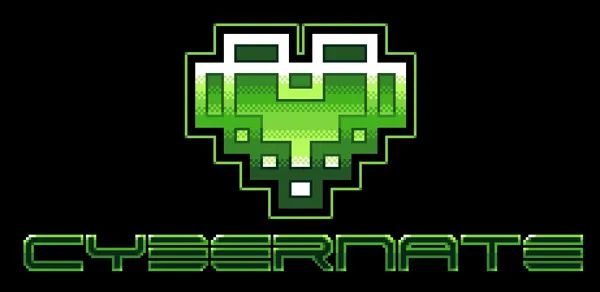 Logo: Cybernate Pty Ltd