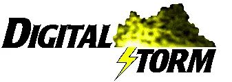 Logo: Digital Storm
