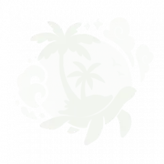 Logo: FreetimeStudio