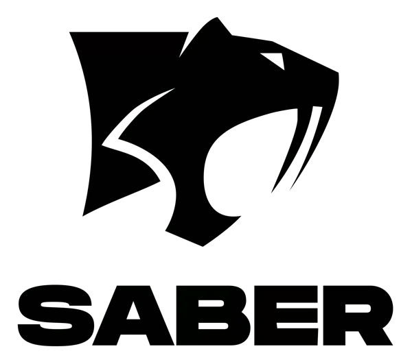 Logo: Saber Interactive Porto