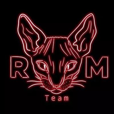 Logo: RMTeam