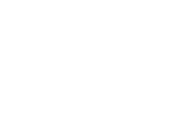Logo: Snoozy Kazoo LLC
