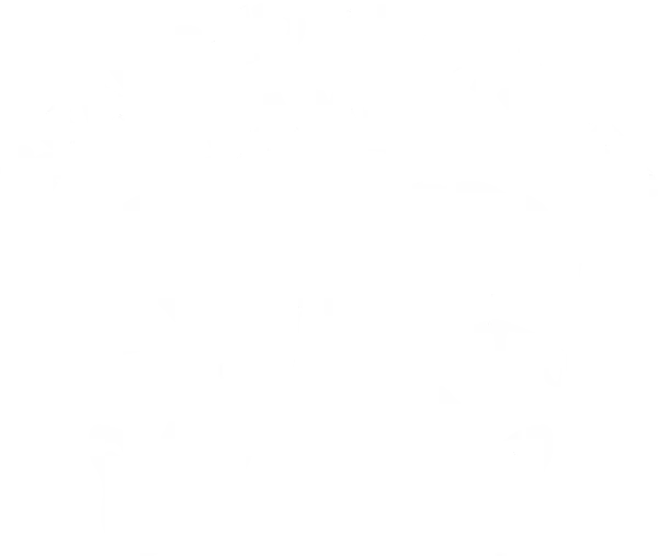 Logo: BeardedBrothers.games sp. z o.o.