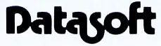 Logo: Datasoft, Inc.