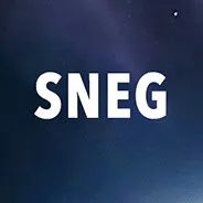 Logo: SNEG Ltd.