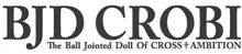 Logo: BJDCROBI Co., Ltd