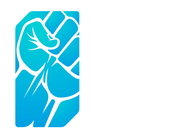 Logo: BadRez Games