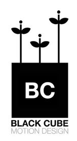 Logo: Black Cube Creative Ltd