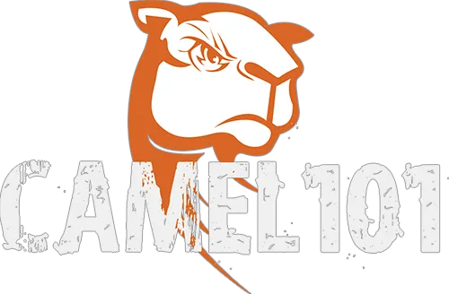 Logo: Camel 101