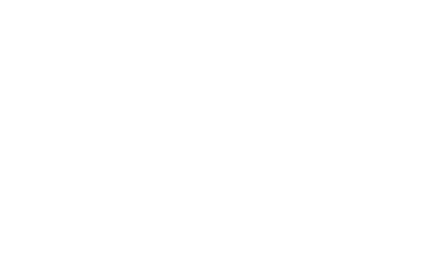 Logo: Walker Labs AB