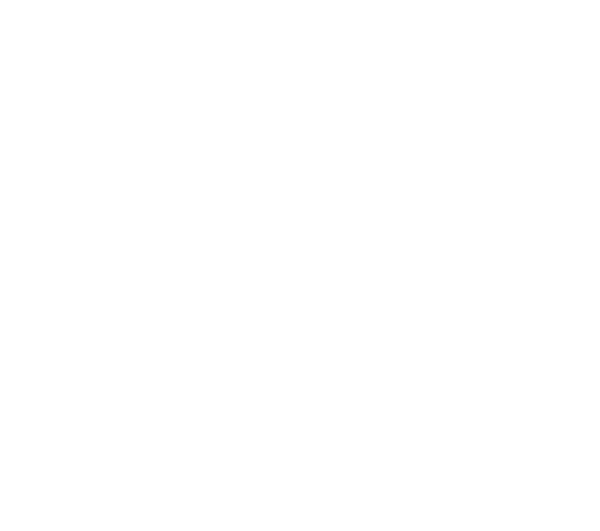 Logo: Roarty Digital Inc.