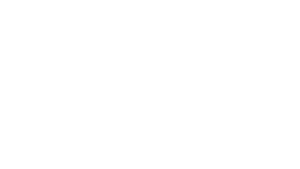 Logo: Angry Bulls Studio