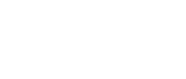 Logo: The Forge Interactive, Inc.