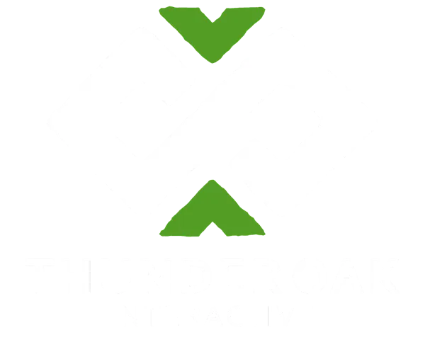Logo: Thunderoak Interactive