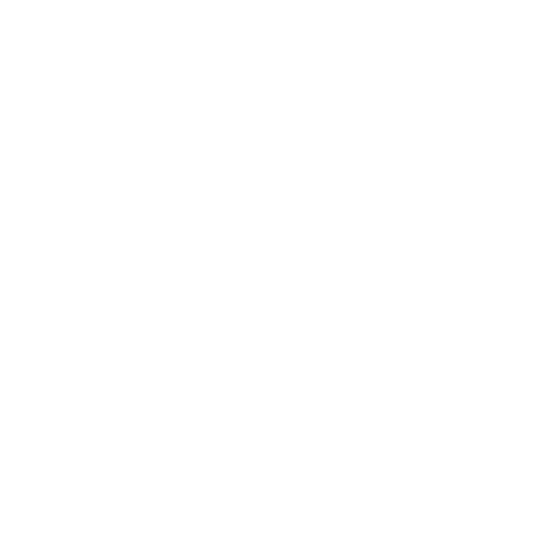 Logo: Riddlebit Software