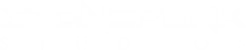 Logo: Stonepunk Studios