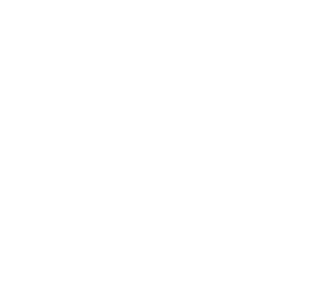 Logo: Coconut Lizard