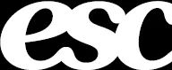 Logo: Escape Studios