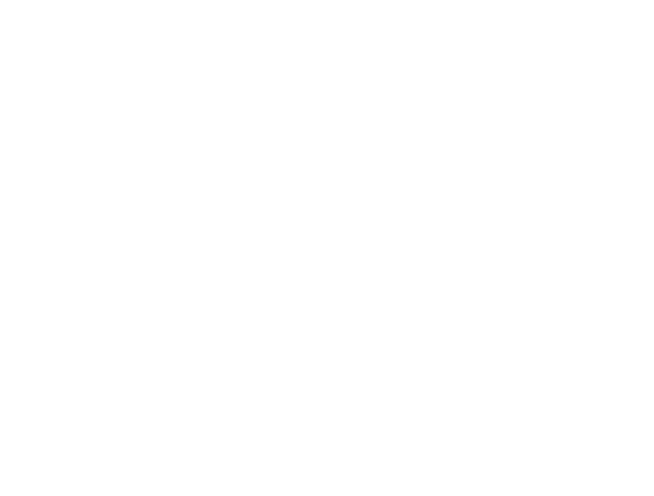 Logo: Mindwalk Studios Inc.