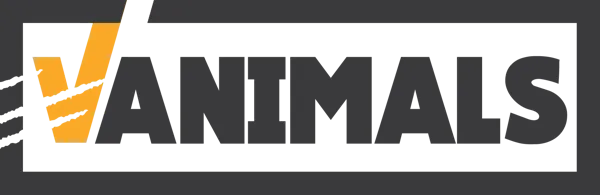 Logo: Vanimals Technology Co., Ltd.