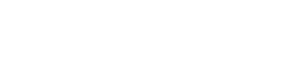 Logo: Visual Concepts Entertainment, Inc.