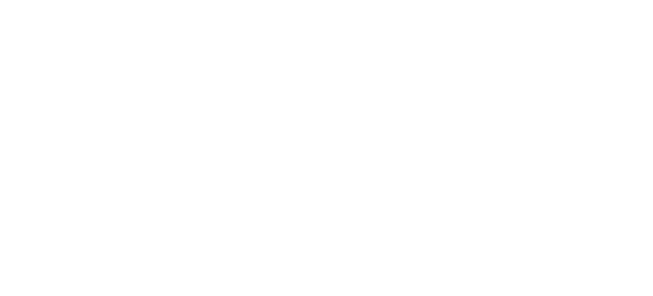Logo: Brave Zebra