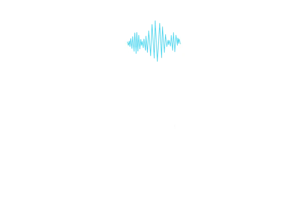 Logo: Noisy Head Games
