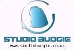 Logo: Studio Budgie