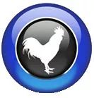 Logo: Big Rooster, LLC