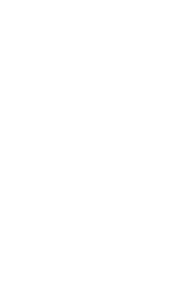 Logo: Iron Wolf Studio S.A.
