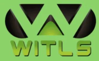 Logo: Witls Games