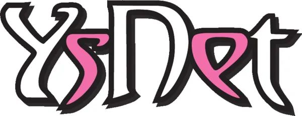 Logo: YS NET Inc.