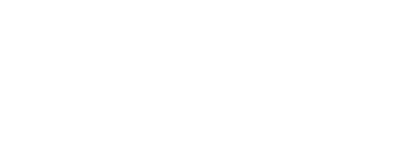 Logo: Evidently Cube