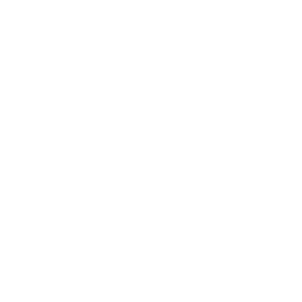 Logo: Soltorch Games