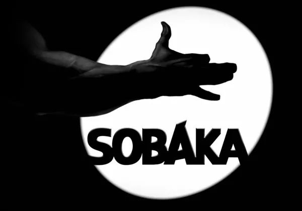Logo: Sobaka Studio LLP